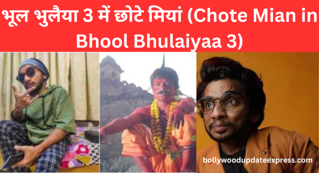 भूल भुलैया 3 में छोटे मियां (Chote Mian in Bhool Bhulaiyaa 3)